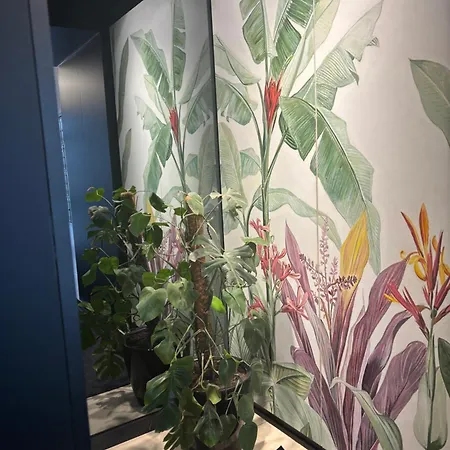 Ana Apartment